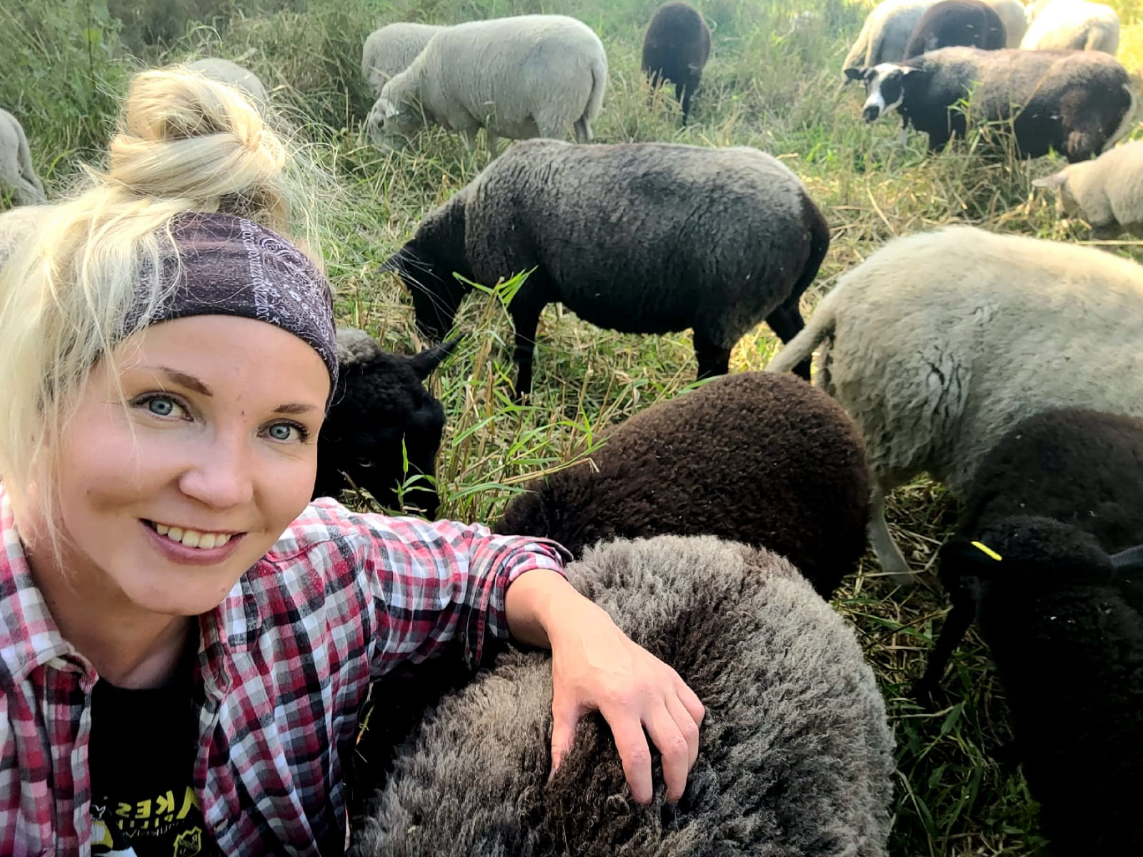 Lammastuotannon osaaja (Kaisa)