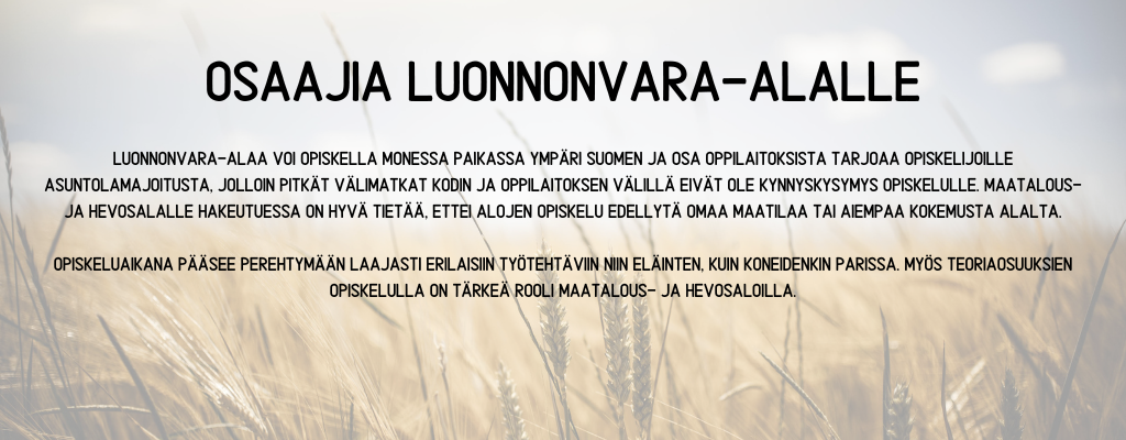 Vaikka maatilat vähenevät, tuotanto on pysynyt määrällisesti samalla tasolla. Kun tilakoot suurentuvat, palkatun työvoiman merkitys Suomen maatiloilla kasvaa. Luonnonvara-alaa voi opiskella moness (3)